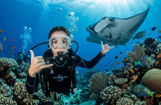 Diving Umag