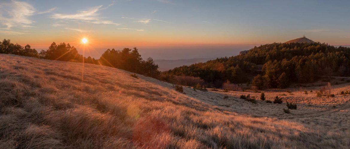 Istria 100 by UTMB Apartments Istria Punta Umag