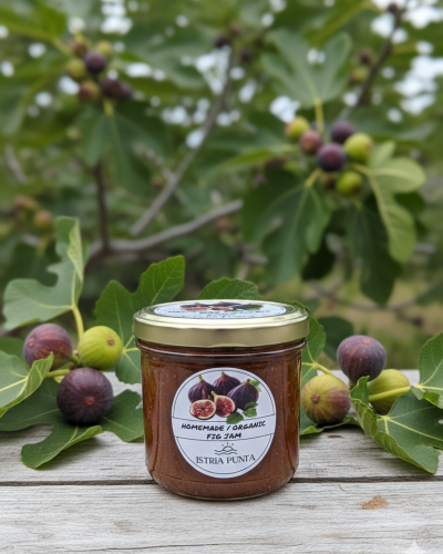 fig jam in apartments istrai punta umag