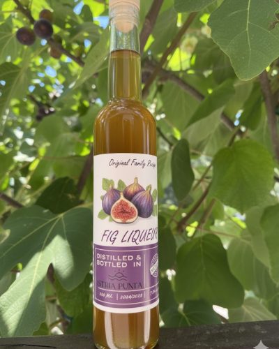 fig liquer in apartments istrai punta umag